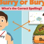 Burry or Bury