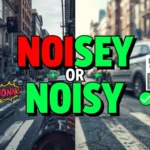 Noisey Or Noisy