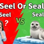 Seel Or Seal
