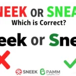 Sneek or Sneak
