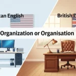 Organization or Organisation